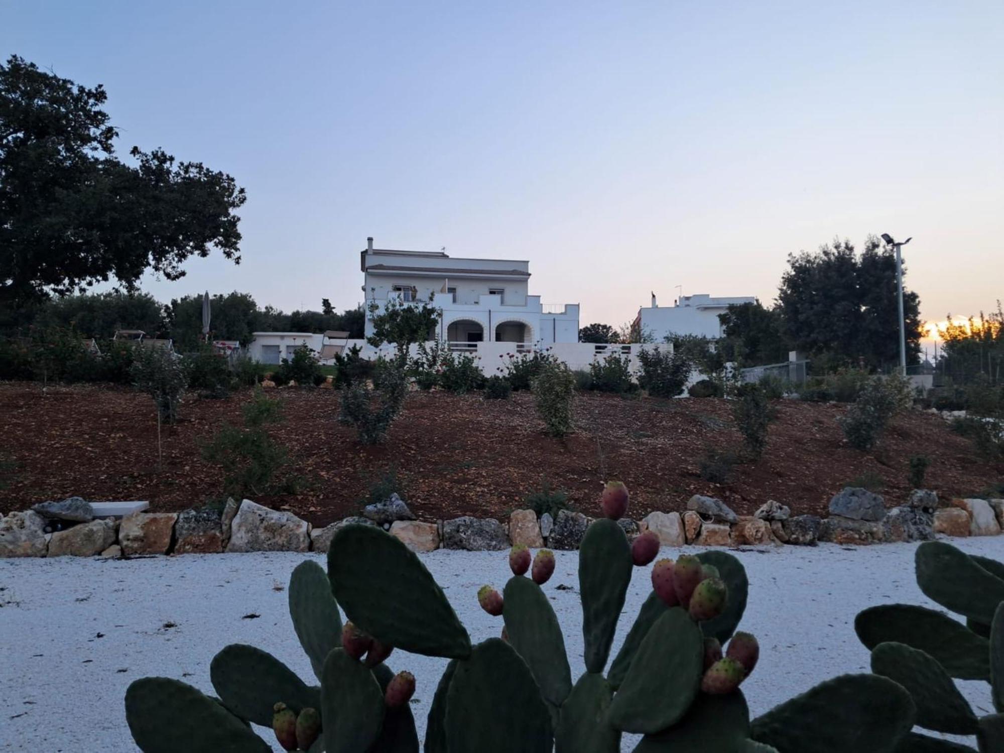 צ'יסטרנינו Casa Vacanze 'La Quercia' מראה חיצוני תמונה