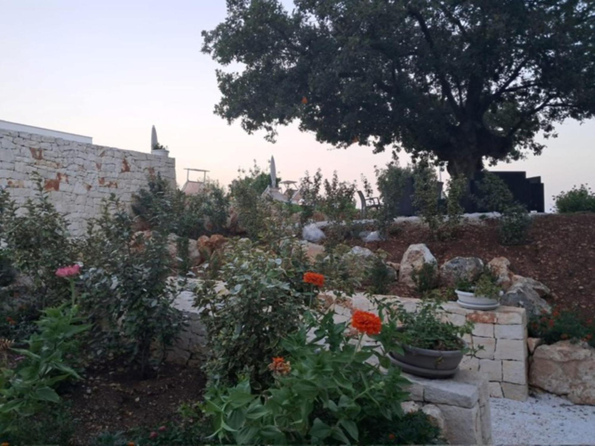 צ'יסטרנינו Casa Vacanze 'La Quercia' מראה חיצוני תמונה