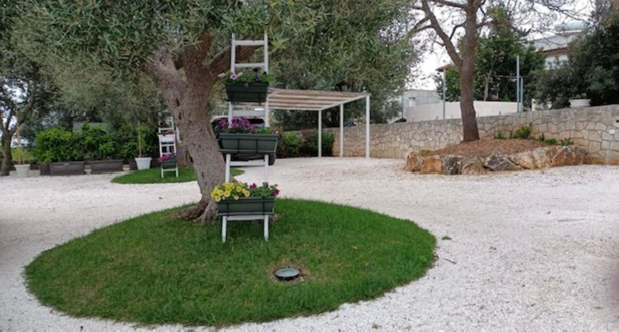 צ'יסטרנינו Casa Vacanze 'La Quercia' מראה חיצוני תמונה